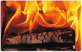 combustion de bûche de bois