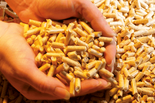 granulé de bois par Solénéo