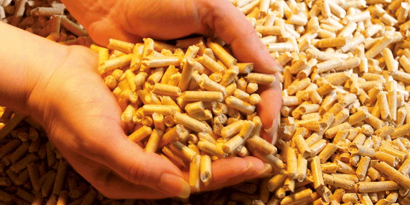 granulé de bois par Solénéo