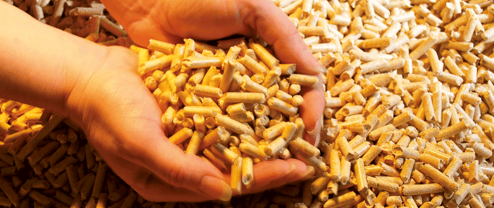 granulé de bois par Solénéo